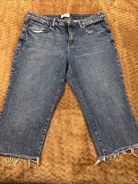 Lane Bryant Flex Magic Waistband Slim Straight Ankle Jeans